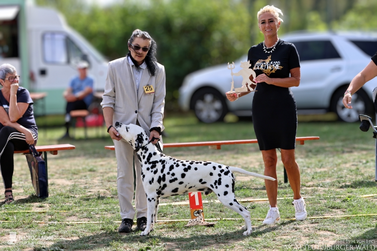 Veteranen Klasse Rüden Int.+ Multi Ch. Canadian Club vom Teutoburger Wald Vater: Asshay vom Gramzower Kloster Mutter: Ch. Obonya's Pride Anna-Ariella  29.08.2026 – Vorzüglich Platz 1 30.08.2026 – Vorzüglich Platz 2 Doghandler: Angelique Kronefeld-Obert