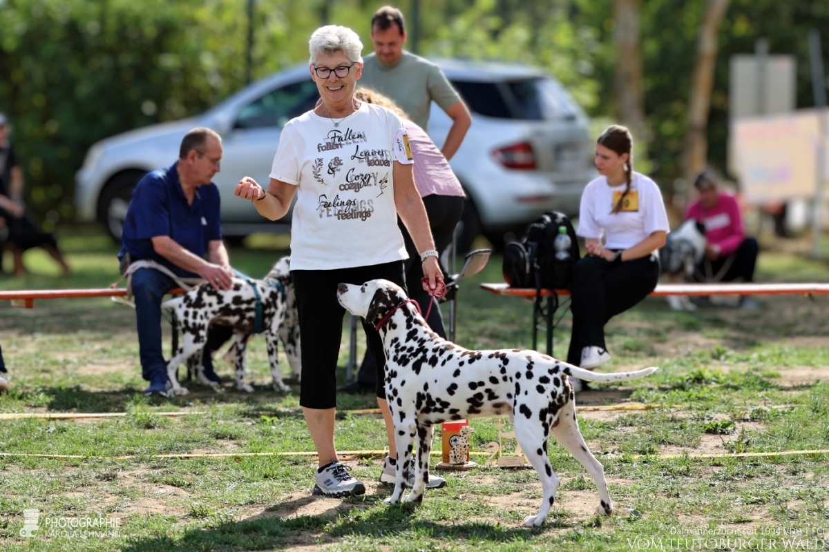 Fun Klasse Rüden Epic Excalibur vom Teutoburger Wald Vater: Thalcida's Hamlet Mutter: Christi ORMOND Knjazjouna Kyra  29.08.2026 – Platz 2 Doghandler: Anja Fries 