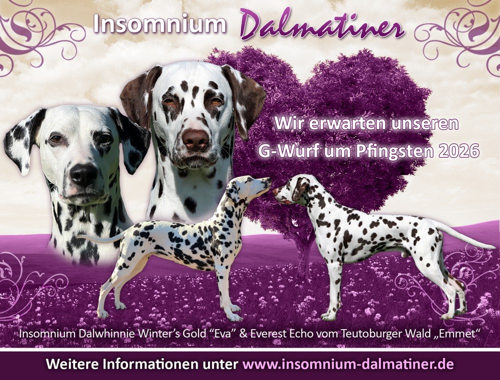Insomnium G-Wurf