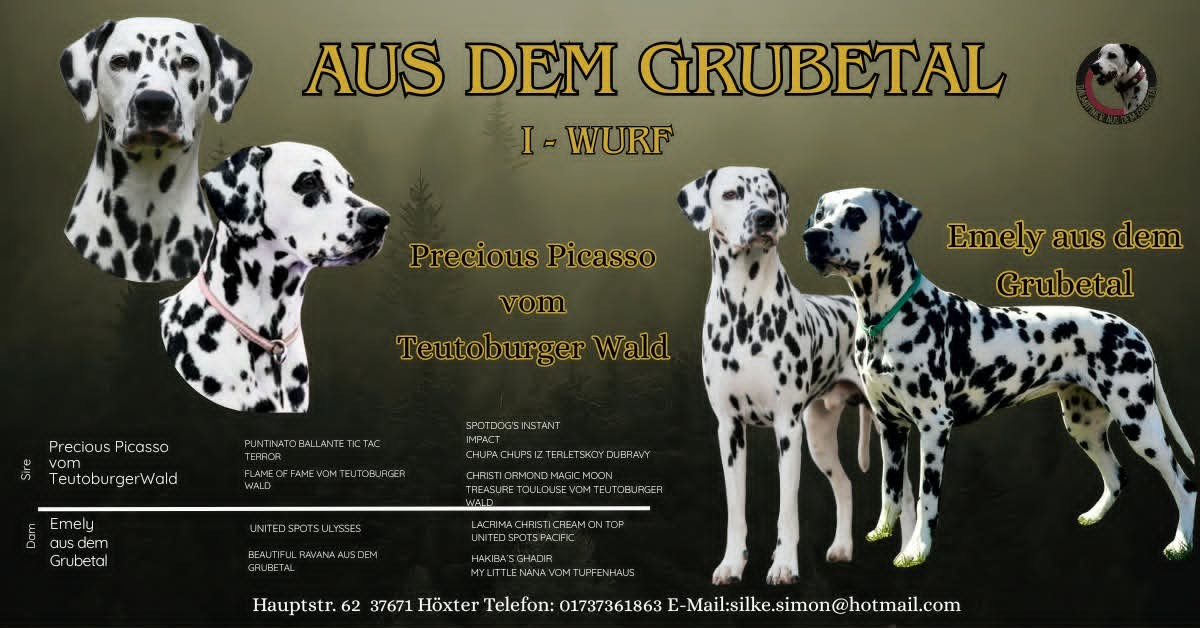 Precious Picasso vom Teutoburger Wald und Emely aus dem Grubetal