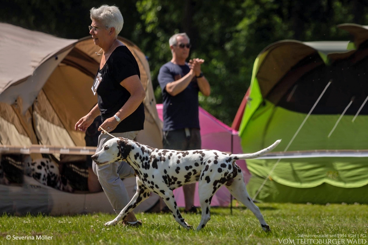 Fun Klasse Rüden (2 Meldungen) Epic Exalibur vom Teutoburger Wald (Nils) Vater: Thalcida’s Hamlet Mutter: Christi ORMOND Knjazjouna Kyra - Platz 1 -