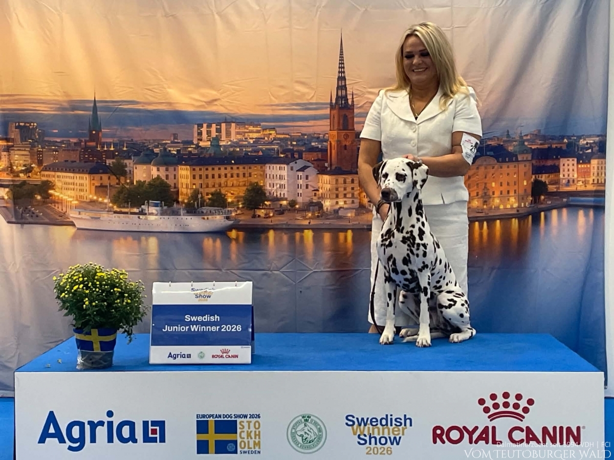 Jug. Ch. Timeless Twilight vom Teutoburger Wald V: WW '23+26 Running Spot's Dancing Bob M: Ch Jameelah’s Journey vom Teutoburger Wald Doghandler: Agnes Katharina Biglarnia - Vorzüglich Platz 1 - Swedish Junior Winner 2026 Best of Breed Junior