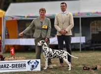 Ausstellungswochenende in Birnbaumteich-Harzgerode (DE) BEST OF BREED – Harz Sieger 2026 – Deutscher Champion Precious Picasso vom Teutoburger Wald 