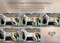SS-Wurf vom Teutoburger Wald 