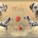 Die Eltern: Mutter Ch. Flame of Fame vom Teutoburger Wald & Vater Ch. Puntinato Ballante Tic Tac Terror